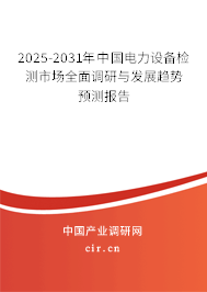 （最新）中國電力設(shè)備檢測市場全面調(diào)研與發(fā)展趨勢預(yù)測報告