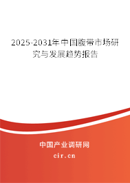 2025-2031年中國腹帶市場研究與發展趨勢報告