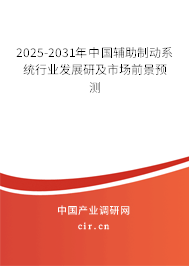 2025-2031年中國輔助制動系統行業發展研及市場前景預測