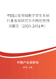 中國公安領域數字孿生系統行業發展研究與市場前景預測報告（2025-2031年）