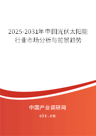 2025-2031年中國光伏太陽能行業市場分析與前景趨勢