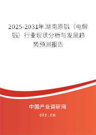 2025-2031年湖南原鋁（電解鋁）行業現狀分析與發展趨勢預測報告