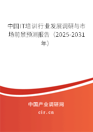 中國IT培訓行業發展調研與市場前景預測報告（2025-2031年）