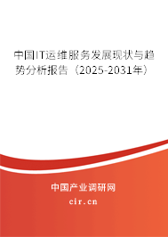 中國IT運維服務發展現狀與趨勢分析報告（2025-2031年）
