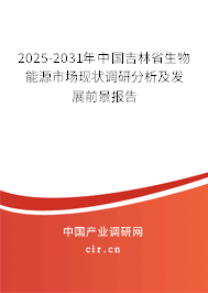 2025-2031年中國吉林省生物能源市場現狀調研分析及發展前景報告