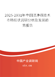 2025-2031年中國潔凈煤技術市場現狀調研分析及發展趨勢報告