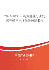 2024-2030年能源金融行業發展調研與市場前景預測報告