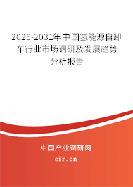 2025-2031年中國氫能源自卸車行業市場調研及發展趨勢分析報告