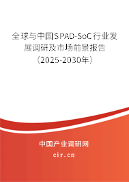 全球與中國SPAD-SoC行業發展調研及市場前景報告（2025-2030年）