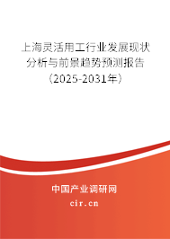 上海靈活用工行業發展現狀分析與前景趨勢預測報告（2025-2031年）