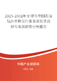 2025-2031年全球與中國石油鉆井參數儀行業發展現狀調研與發展趨勢分析報告