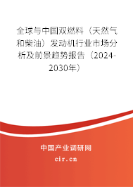 全球與中國雙燃料（天然氣和柴油）發(fā)動機(jī)行業(yè)市場分析及前景趨勢報(bào)告（2024-2030年）