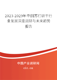 2023-2029年中國蘇打餅干行業發展深度調研與未來趨勢報告