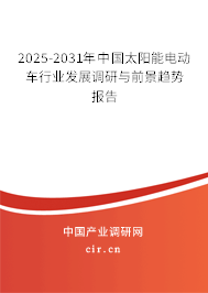 2025-2031年中國太陽能電動車行業(yè)發(fā)展調(diào)研與前景趨勢報告