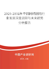 2025-2031年中國網絡團購行業發展深度調研與未來趨勢分析報告