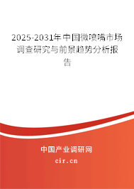 2025-2031年中國微噴嘴市場調查研究與前景趨勢分析報告