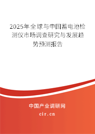 2025年全球與中國蓄電池檢測儀市場調查研究與發展趨勢預測報告