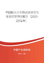 中國搖頭燈市場調查研究與發展前景預測報告（2025-2031年）