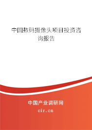 中國(guó)數(shù)碼攝像頭項(xiàng)目投資咨詢報(bào)告