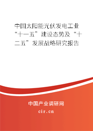 中國太陽能光伏發電工業“十一五”建設態勢及“十二五”發展戰略研究報告