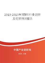 2010-2013年T恤衫行業調研及前景預測報告