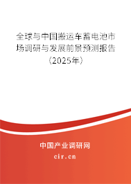 全球與中國搬運車蓄電池市場調研與發展前景預測報告（2025年）