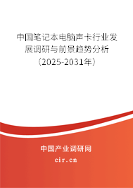 中國筆記本電腦聲卡行業發展調研與前景趨勢分析（2025-2031年）