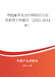 中國車用電池市場研究與前景趨勢分析報告（2025-2031年）