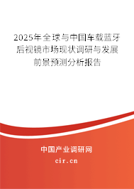 2025年全球與中國車載藍牙后視鏡市場現狀調研與發展前景預測分析報告