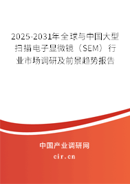 2025-2031年全球與中國大型掃描電子顯微鏡（SEM）行業市場調研及前景趨勢報告