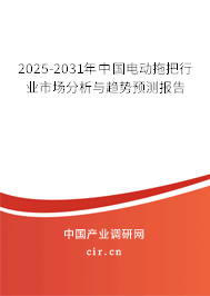 2025-2031年中國電動拖把行業市場分析與趨勢預測報告