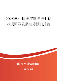 2025年中國電子商務行業現狀調研及發展趨勢預測報告