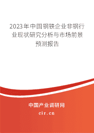 2023年中國鋼鐵企業非鋼行業現狀研究分析與市場前景預測報告