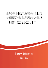 全球與中國廣角鏡頭行業現狀調研及未來發展趨勢分析報告（2025-2031年）