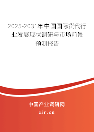 2025-2031年中國國際貨代行業發展現狀調研與市場前景預測報告