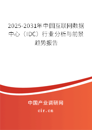 2025-2031年中國互聯網數據中心（IDC）行業分析與前景趨勢報告