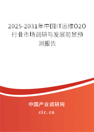 2025-2031年中國IT運維O2O行業(yè)市場調(diào)研與發(fā)展前景預測報告
