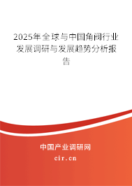 2025年全球與中國角閥行業發展調研與發展趨勢分析報告