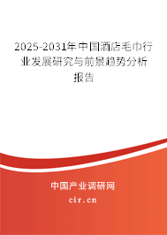 2025-2031年中國酒店毛巾行業發展研究與前景趨勢分析報告