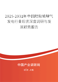 2025-2031年中國垃圾填埋氣發電行業現狀深度調研與發展趨勢報告
