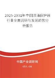 2025-2031年中國浪涌保護器行業全面調研與發展趨勢分析報告