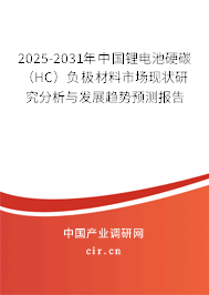 2025-2031年中國鋰電池硬碳（HC）負極材料市場現狀研究分析與發展趨勢預測報告