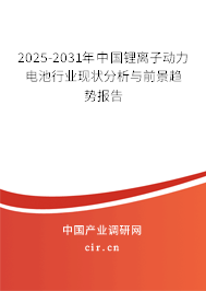 2025-2031年中國鋰離子動力電池行業現狀分析與前景趨勢報告