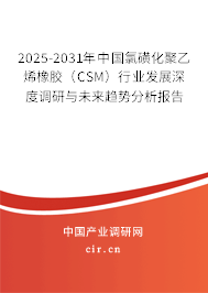 2025-2031年中國(guó)氯磺化聚乙烯橡膠（CSM）行業(yè)發(fā)展深度調(diào)研與未來(lái)趨勢(shì)分析報(bào)告