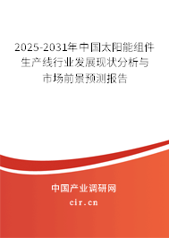 2025-2031年中國太陽能組件生產線行業發展現狀分析與市場前景預測報告