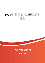 2013中國外匯行業研究分析報告