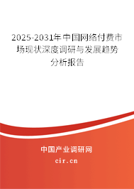 2025-2031年中國網絡付費市場現狀深度調研與發展趨勢分析報告