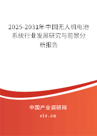 2025-2031年中國無人機電池系統行業發展研究與前景分析報告
