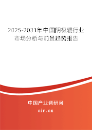 2025-2031年中國陰極輥行業市場分析與前景趨勢報告
