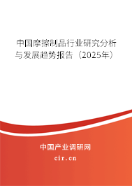 中國摩擦制品行業研究分析與發展趨勢報告（2025年）